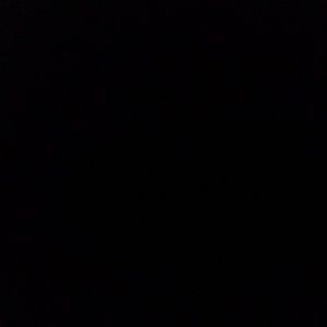 Meet your Posher, Ty